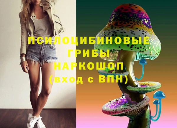 марки lsd Белокуриха