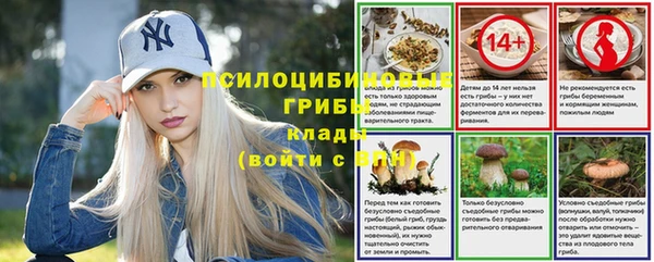 марки lsd Белокуриха