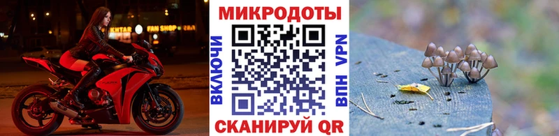 как найти наркотики  Жирновск  Галлюциногенные грибы Cubensis 